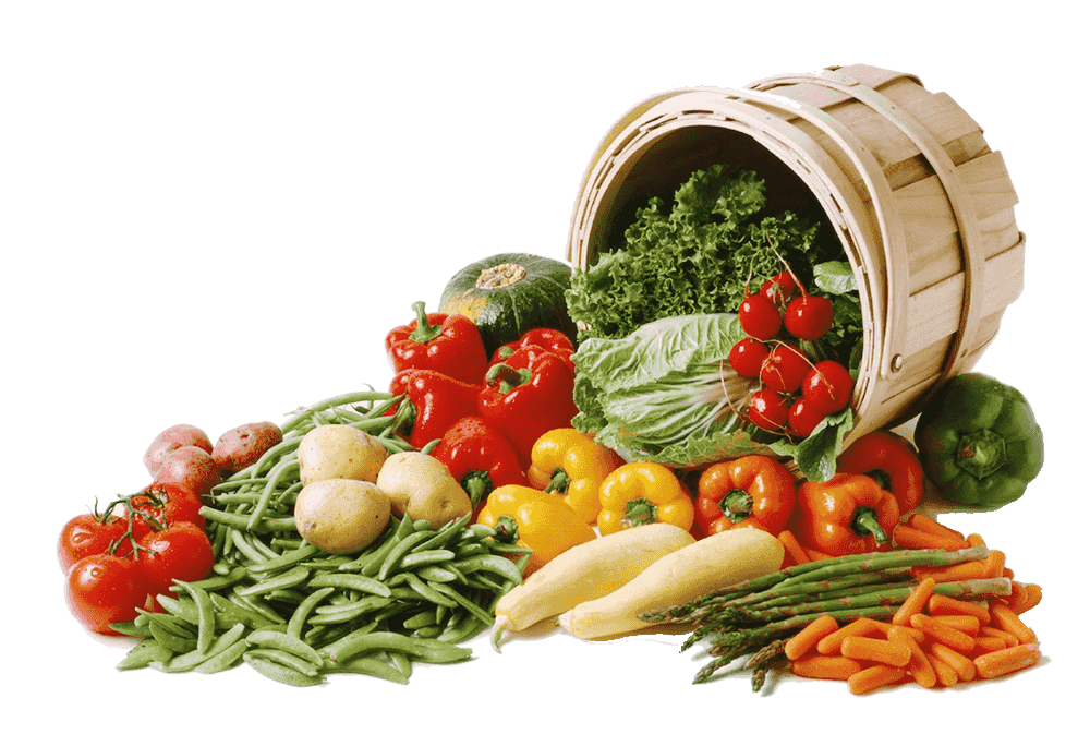 Orgânicos fresquinhos