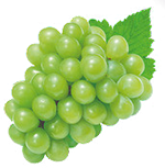 Orgânicos fresquinhos