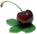 Orgânicos fresquinhos