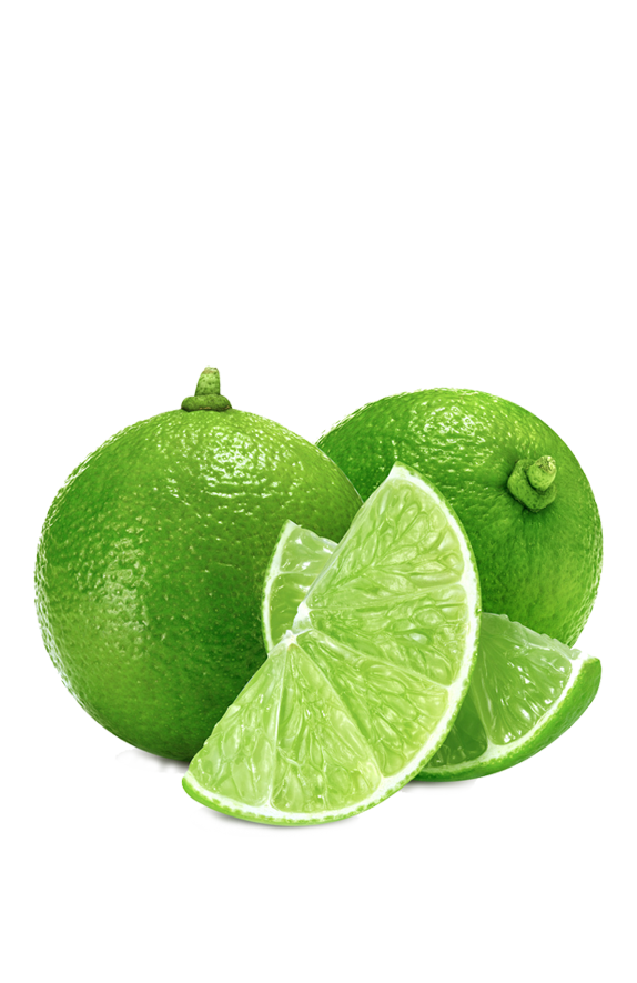 Aproveite, só hoje!