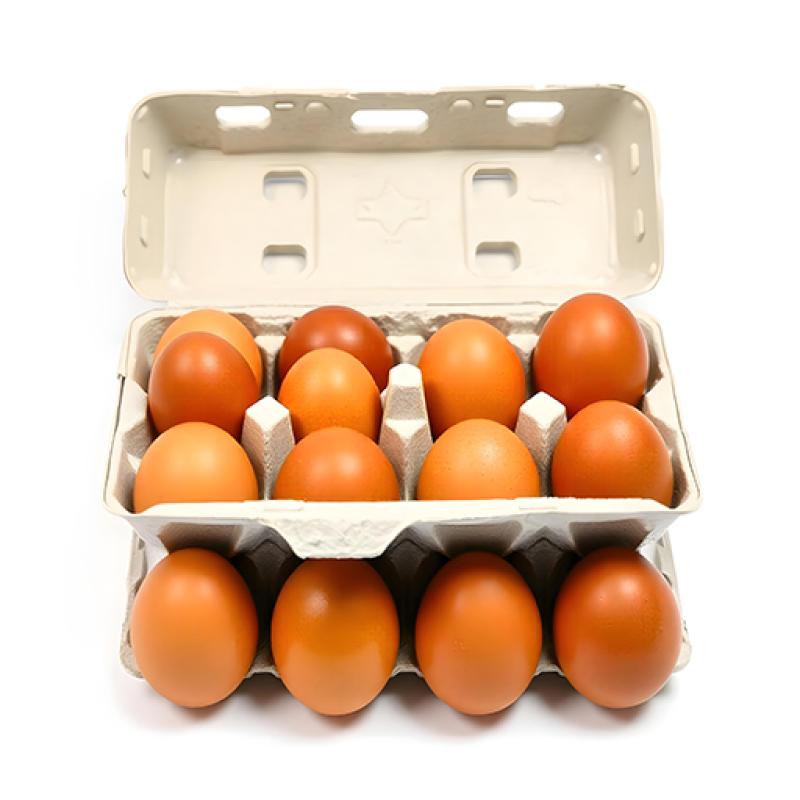 Ovos Frescos da Granja: Saúde e Sustentabilidade