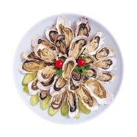 AgroVerde Orgânicos